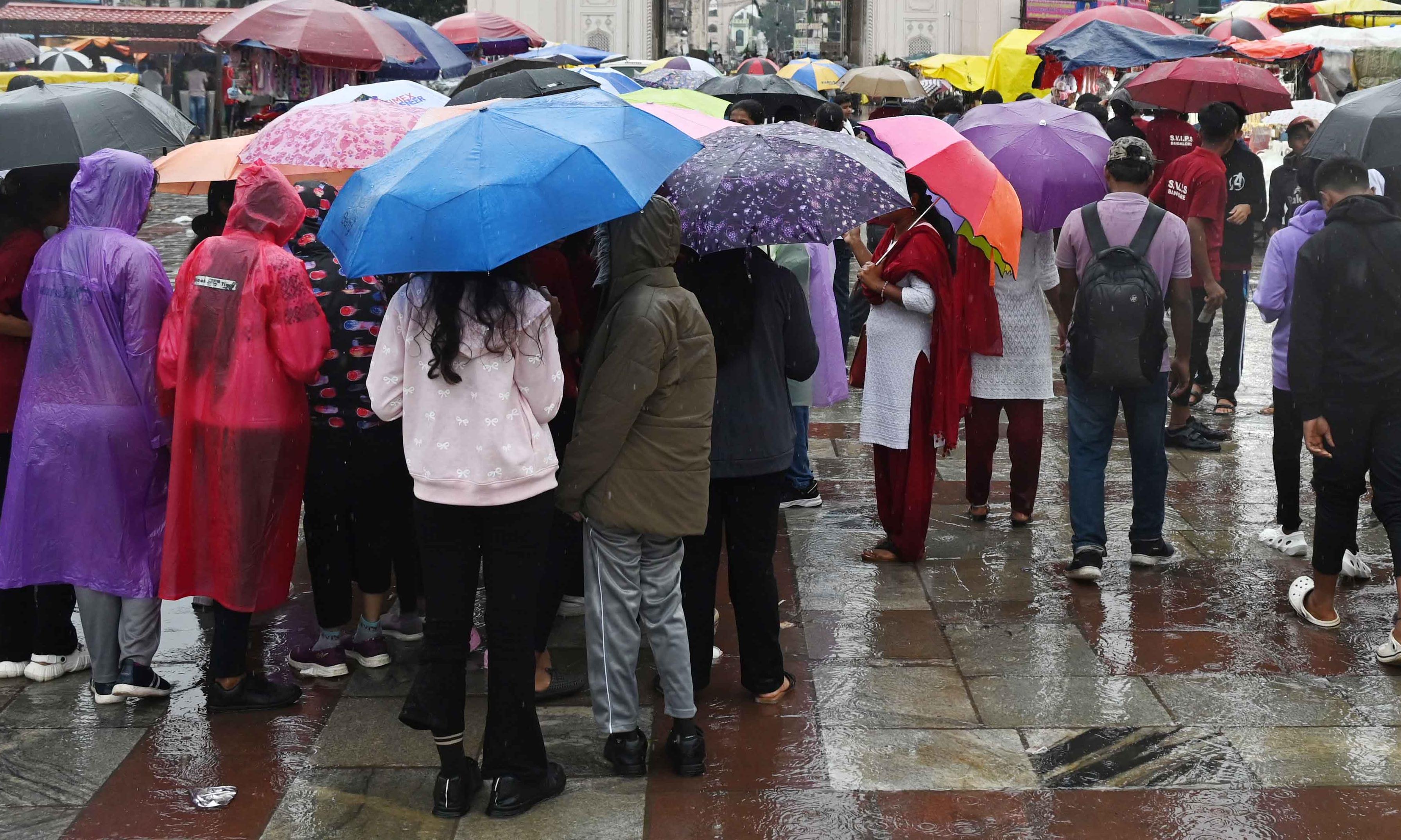 Nellore Declares Vacation for Colleges, Schools At the moment