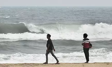 Cyclone Ditwah: Three Dead in Rain-Related Incidents in Tamil Nadu