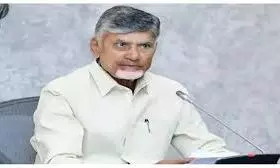 Andhra Govt Spent Rs 51,000 cr On Welfare Pensions In 18 Months: CM Naidu