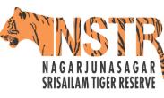 Andhra Pradesh Begins Wildlife Population Survey