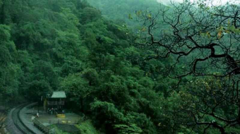 For Every Dollar Spent to Preserve Nature, $30 Goes Towards Harming It: UNEP Report