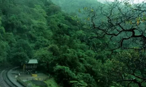 Hyderabad Students Plan Trip to Maredumilli Hyderabad Students Plan Trip to Maredumilli