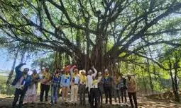 Over 60 Pc trees, Indigenous Ones, Will Be Saved: Nashik Commissioner On Sadhu Gram Row