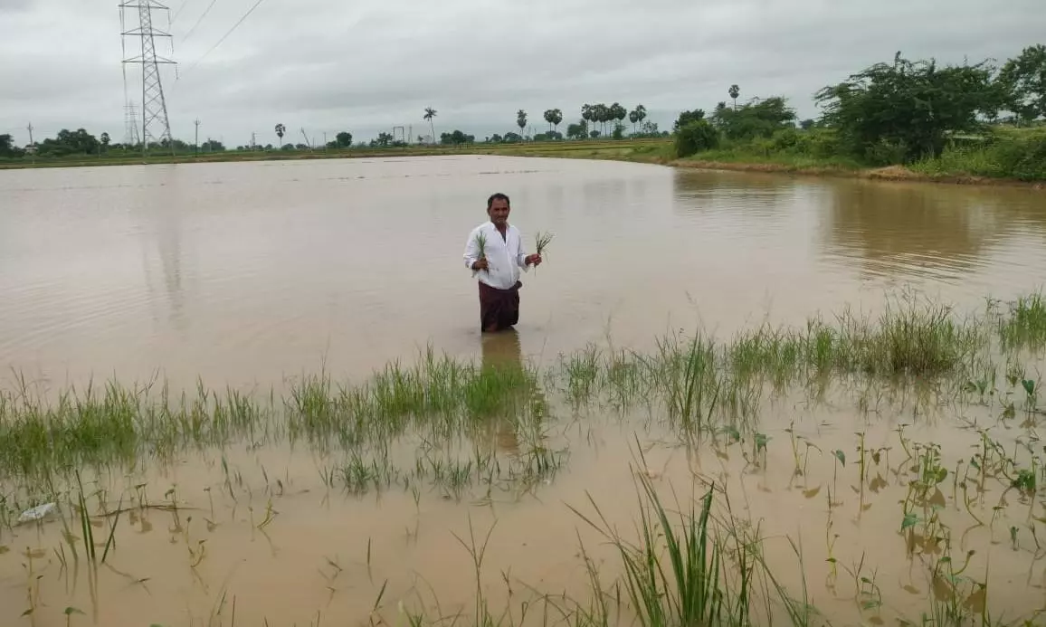 Relentless Rains In Nellore, Tirupati Districts Turn National Highway Into River