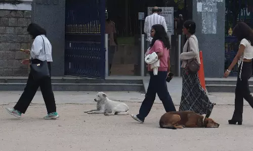 Revanth Orders Immediate Action After Stray Dogs Attack Differently-Abled Child