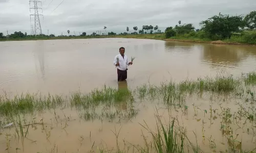 Relentless Rains In Nellore, Tirupati Districts Turn National Highway Into River