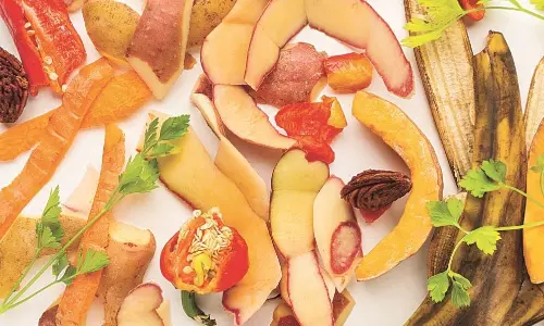 A Masterclass in Zero Food Waste A Masterclass in Zero Food Waste