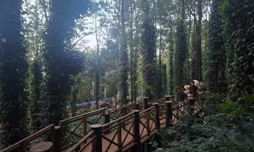 Private Entities to Host Araku Cultural Festival Ahead of State’s Araku Chali Utsav Private Entities to Host Araku Cultural Festival Ahead of State’s Araku Chali Utsav