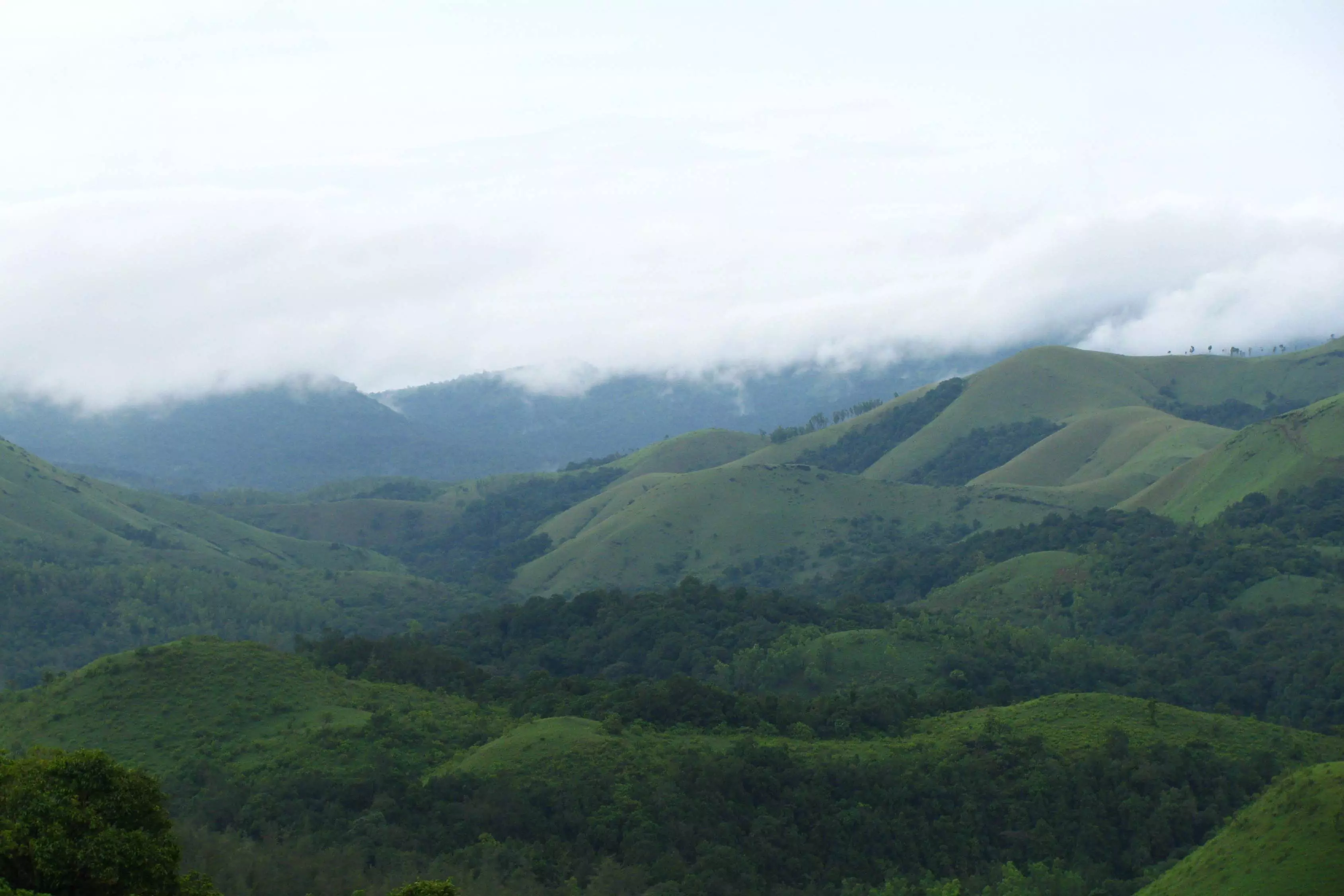 Western Ghats’ Fading Streams Sound An Alarm Western Ghats’ Fading Streams Sound An Alarm