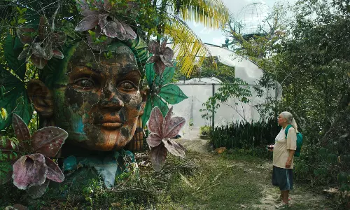 How Goas Casino Culture Inspired Brazilian Film The Blue Trail How Goas Casino Culture Inspired Brazilian Film The Blue Trail