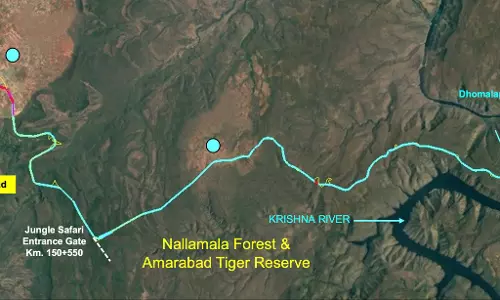NH 765 to Srisailam Gets Ready To ‘Fly’ Over Amrabad Tiger Reserve NH 765 to Srisailam Gets Ready To ‘Fly’ Over Amrabad Tiger Reserve