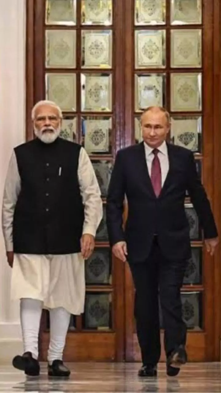 What Vladimir Putin Was Served During His India Visit 2025 What Vladimir Putin Was Served During His India Visit 2025