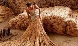 deccanchronicle.com - DC Correspondent - Flexibility In JPMA Can Help In Addressing Packaging Issues Of Food Grains