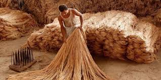 India Faces Jute Packaging Shortage, Seeks JPMA Flexibility