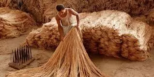 Flexibility In JPMA Can Help In Addressing Packaging Issues Of Food Grains Flexibility In JPMA Can Help In Addressing Packaging Issues Of Food Grains