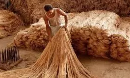 Flexibility In JPMA Can Help In Addressing Packaging Issues Of Food Grains