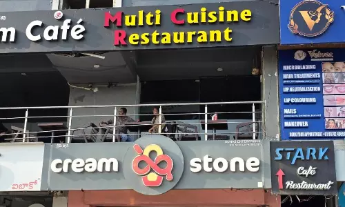 Roasted Cockroach Found in Chicken Noodles Served at Hotel on Beach Road