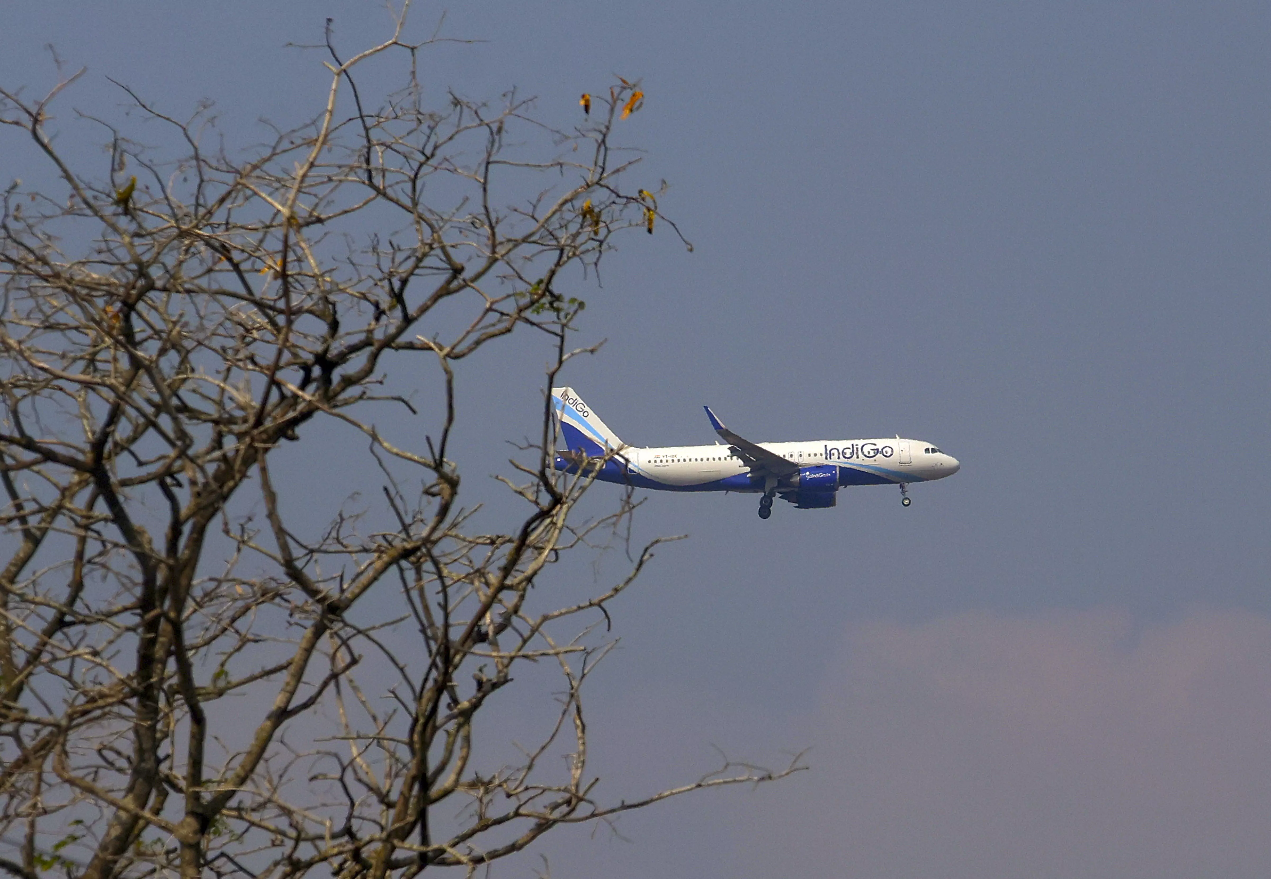 IndiGo Cancels Over 60 Flights from Bengaluru Despite CEO’s Assurance