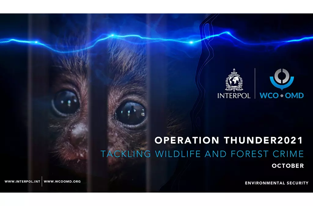 Animal Trafficking Reaches Record High In 2025 : Interpol