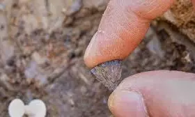 Study Finds Humans Were Making Fire 400,000 Years Ago, Far Earlier Than Once Thought