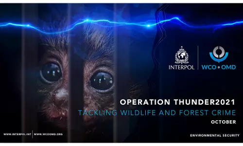Animal Trafficking Reaches Record High In 2025 : Interpol Animal Trafficking Reaches Record High In 2025 : Interpol