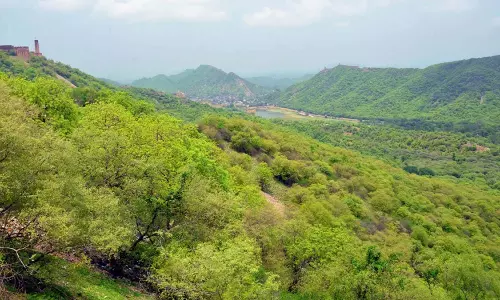 Adoption Of New Aravalli Definition Is Death Warrant For Mountain Range, Say Experts