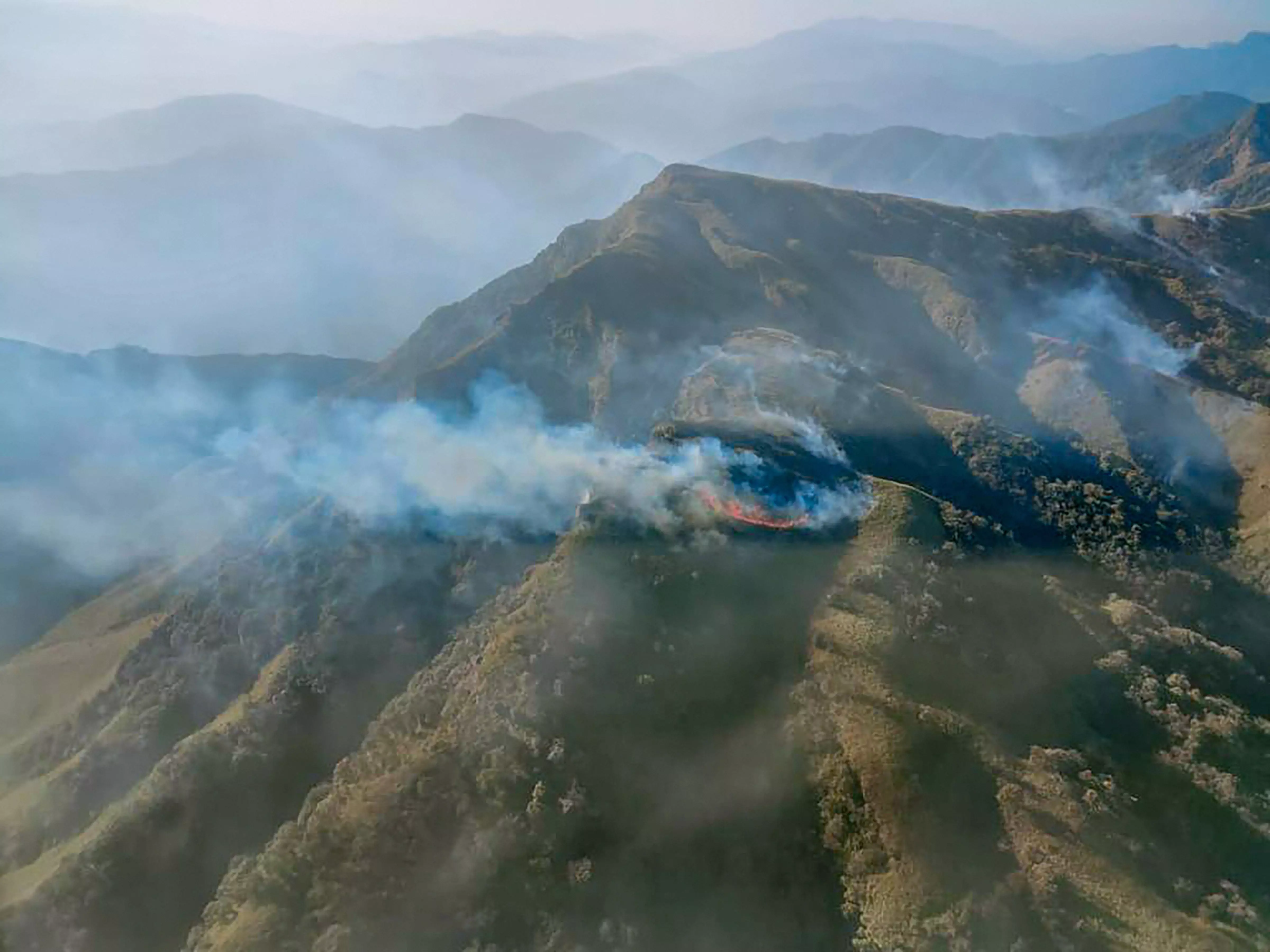 Wildfire Erupts in Nagalands Dzukou Valley Wildfire Erupts in Nagalands Dzukou Valley