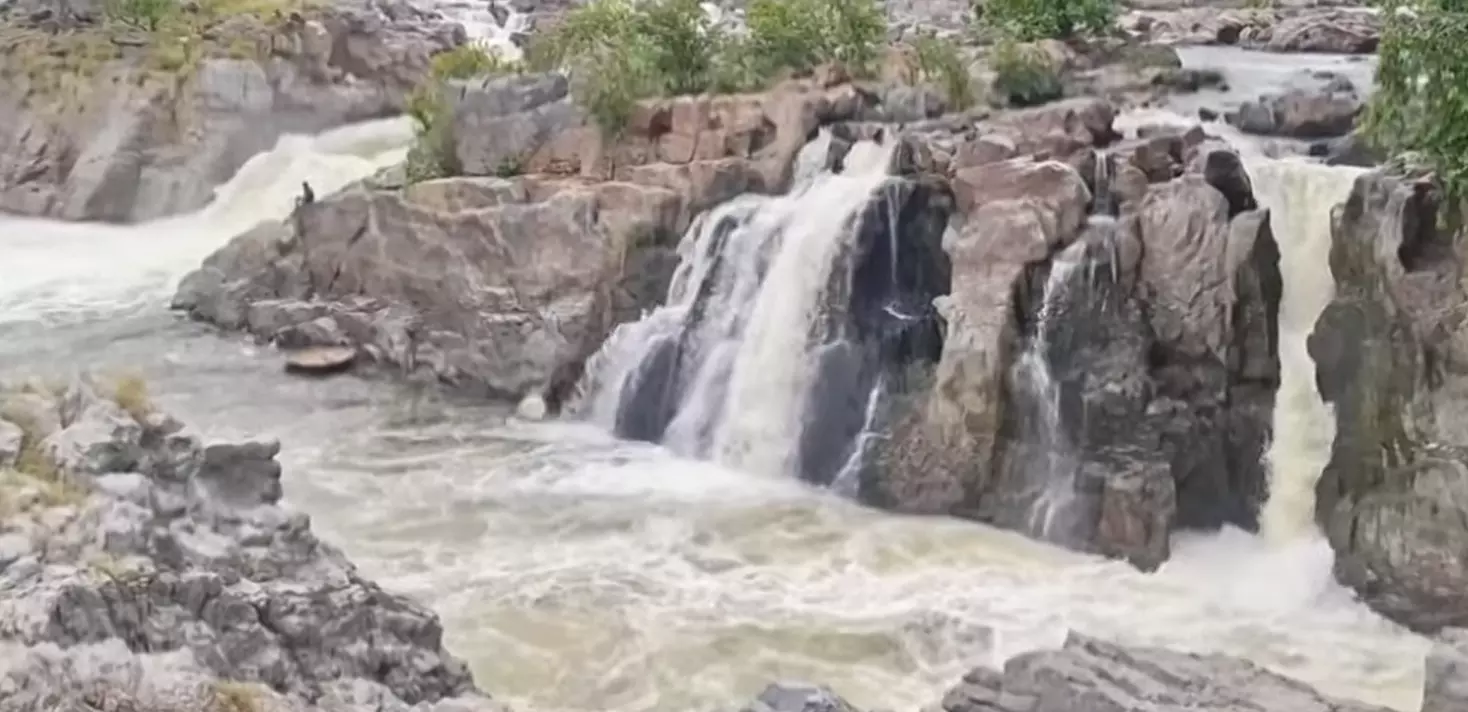 Karnataka Govt Issues Order To Constitute Team To Expedite Mekedatu Project Karnataka Govt Issues Order To Constitute Team To Expedite Mekedatu Project