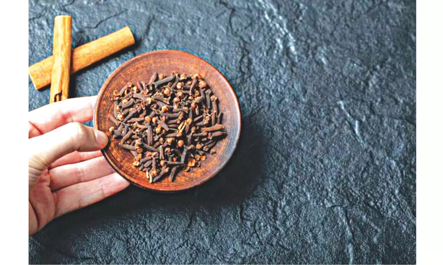 Clove At First Sight Clove At First Sight