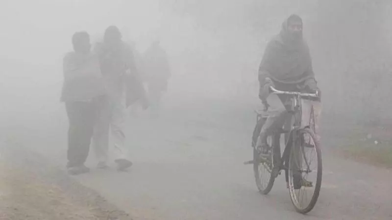 Hyderabad Records Coldest Morning In 7 Years