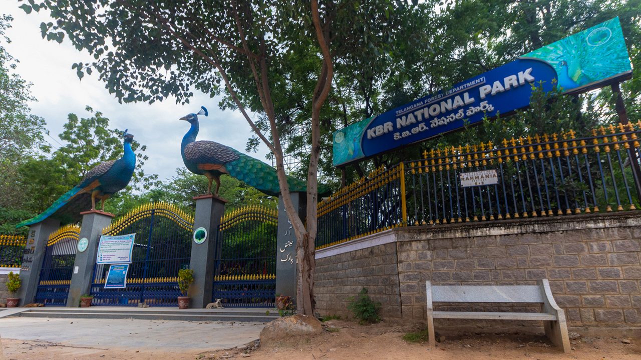 KBR Park Event Faces Objections over Wildlife Act Violations
