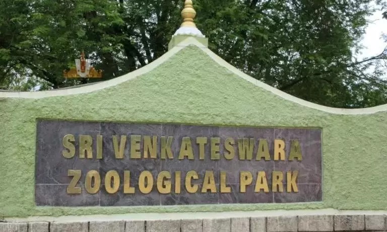 TTD Board Member Donates Fodder to Zoo