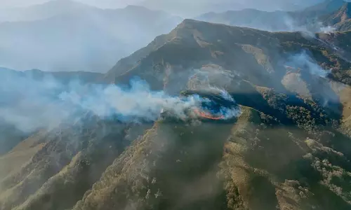 Wildfire Erupts in Nagalands Dzukou Valley Wildfire Erupts in Nagalands Dzukou Valley