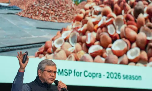 Cabinet Hikes Copra MSP by Up to ₹445 per Quintal for 2026 Season Cabinet Hikes Copra MSP by Up to ₹445 per Quintal for 2026 Season