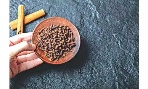 Clove At First Sight Clove At First Sight