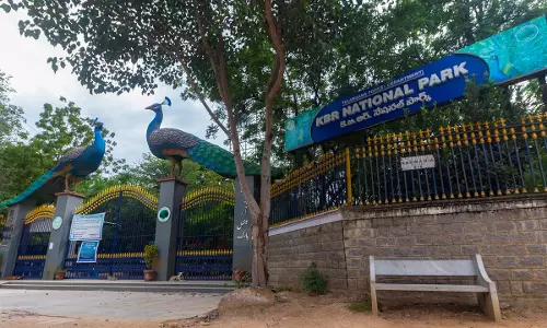 KBR Park Event Faces Objections over Wildlife Act Violations KBR Park Event Faces Objections over Wildlife Act Violations