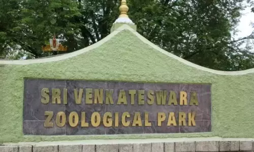 TTD Board Member Contributes Fodder to SV Zoo TTD Board Member Contributes Fodder to SV Zoo