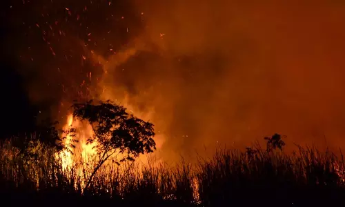 Indias Wildfire Management Resolution Adopted At UNEA-7