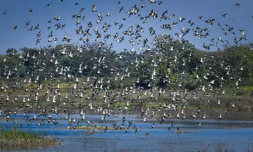 Kopra Reservoir Becomes Chhattisgarh’s First Ramsar Site; Sai Hails Global Recognition of Water Body Kopra Reservoir Becomes Chhattisgarh’s First Ramsar Site; Sai Hails Global Recognition of Water Body