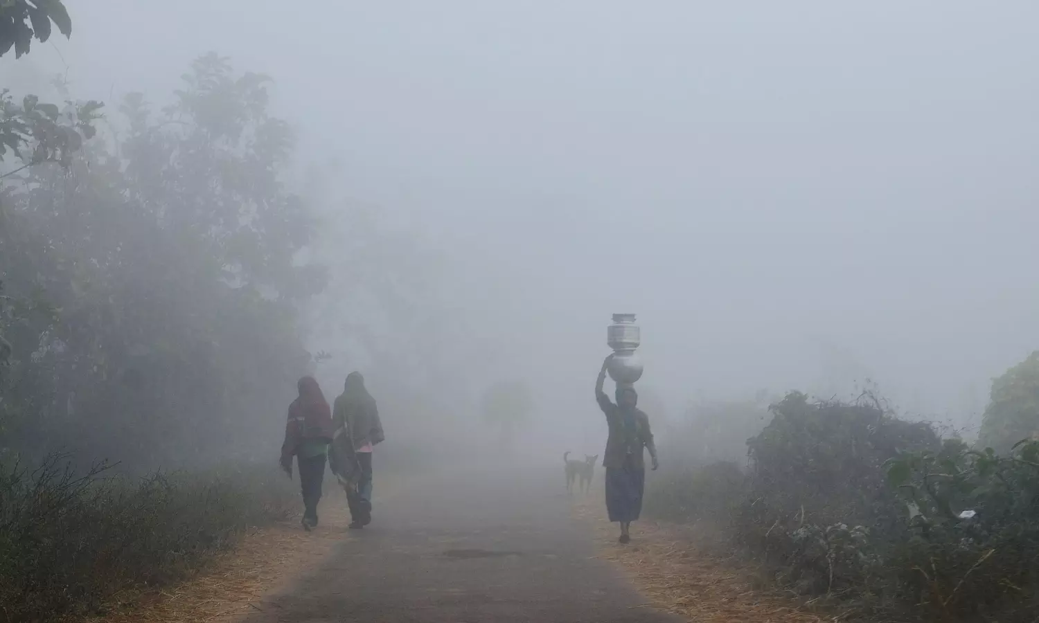 617 Die in ASR Road Mishaps in 3 Years 617 Die in ASR Road Mishaps in 3 Years