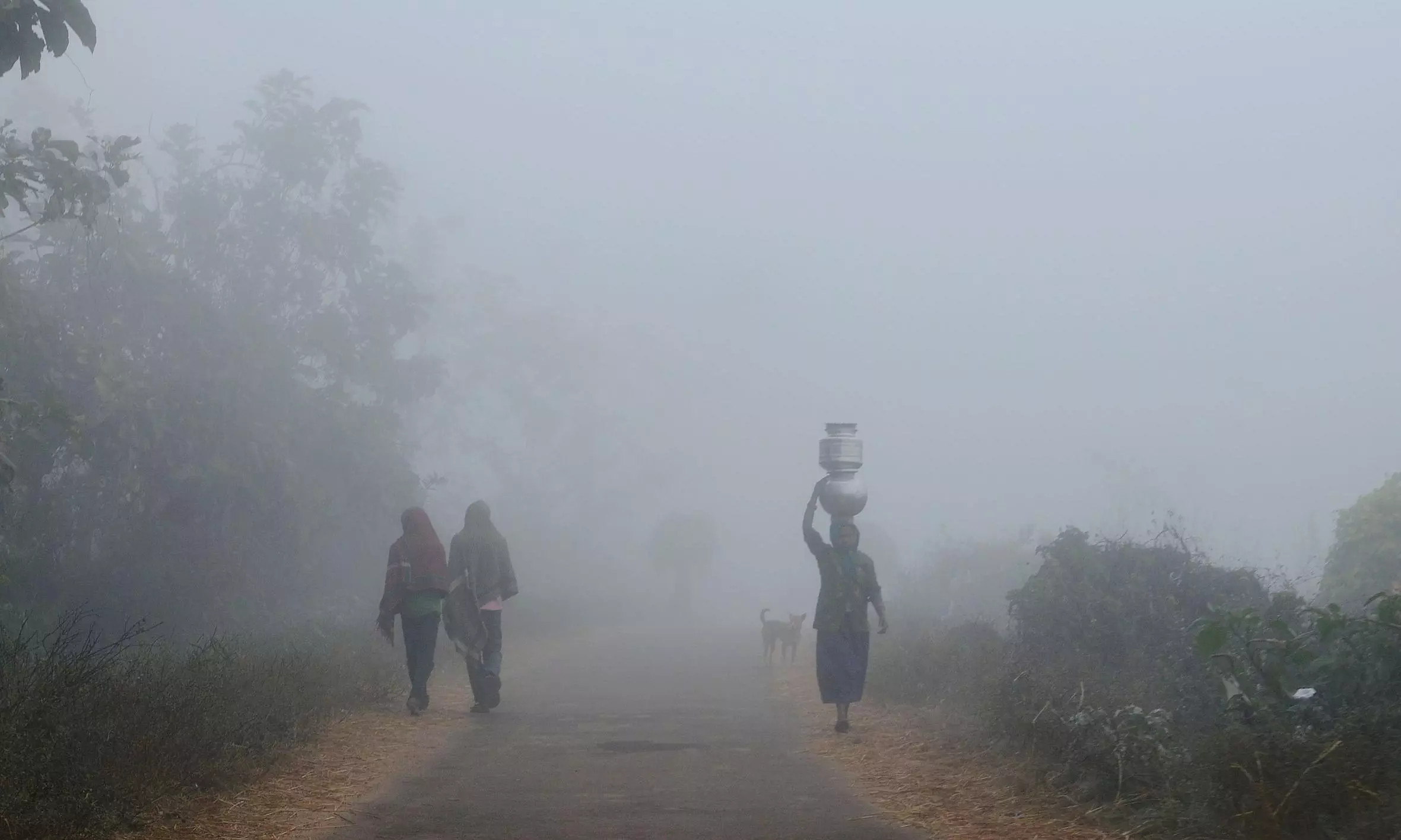 617 Die in ASR Road Mishaps in 3 Years 617 Die in ASR Road Mishaps in 3 Years