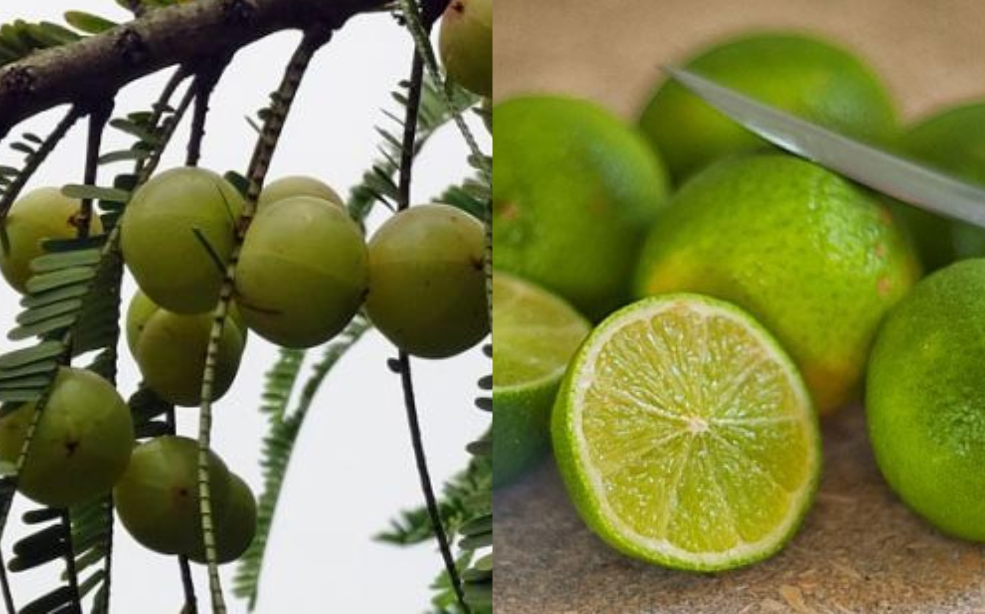 Amla-Lemon Blend Reduces Salt Intake Naturally
