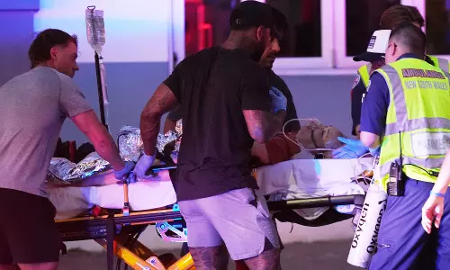 12 Dead in Targeted Bondi Attack; Police Hunt for Possible 3rd Gunman 12 Dead in Targeted Bondi Attack; Police Hunt for Possible 3rd Gunman