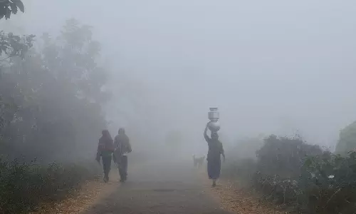 617 Die in ASR Road Mishaps in 3 Years