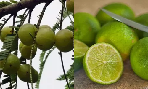 Amla-lemon Blend Offers Natural Route to Cut Salt Intake: ICMR-NIN Innovation