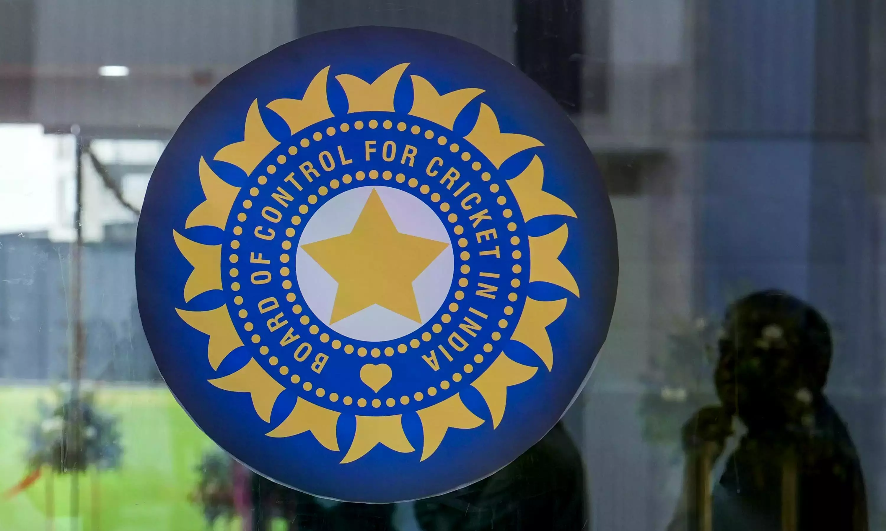 BCCI Not Recognised as National Sports Federation: Mandaviya in LS BCCI Not Recognised as National Sports Federation: Mandaviya in LS