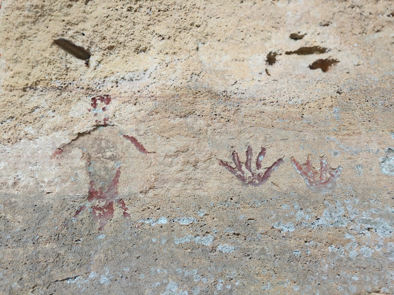 Ancient Rock Art Discovered in Telangana