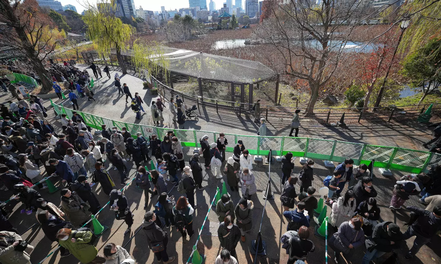Thousands Visit Tokyo Zoo to See Japan’s Last Two Pandas Before Return to China Thousands Visit Tokyo Zoo to See Japan’s Last Two Pandas Before Return to China