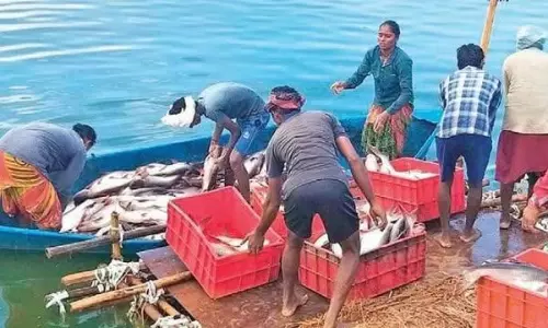 Aqua Farmers Urged To Use Govt Labs for Water, Disease Testing