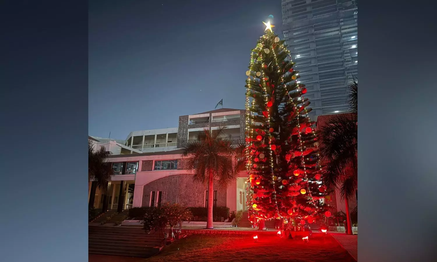 Nasr School Puts Up 50-foot-tall Christmas Tree Nasr School Puts Up 50-foot-tall Christmas Tree